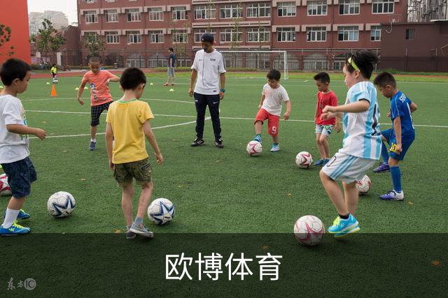 专业欧博体育平台