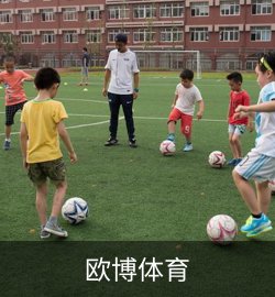 项目案例